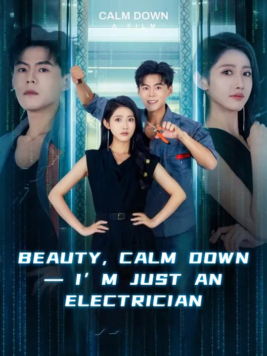 BEAUTY, CALM DOWN — I’M JUST AN ELECTRICIAN